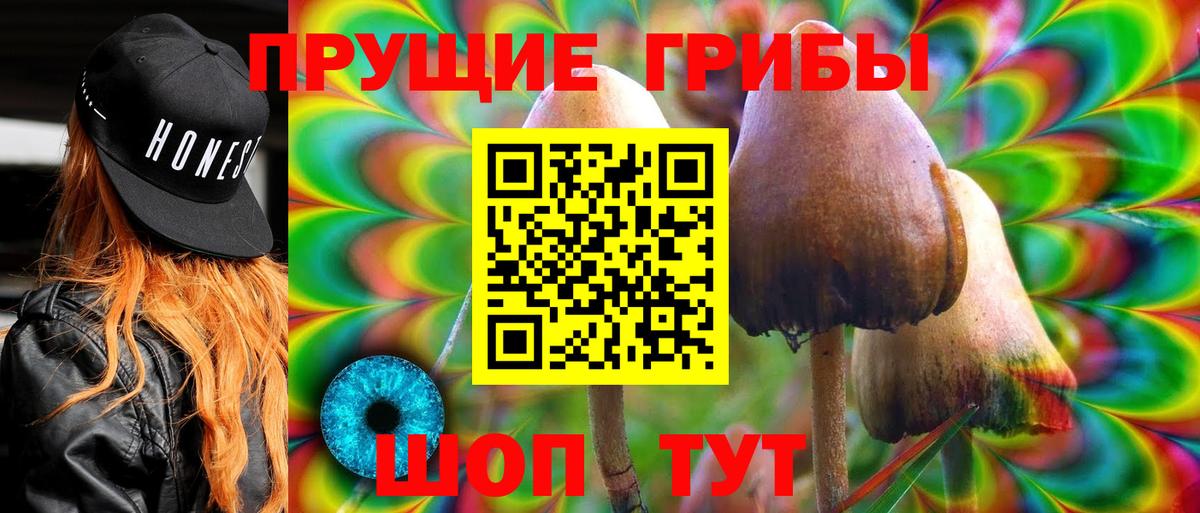 Мурино  Галлюциногенные грибы прущие грибы  Вход с VPN 