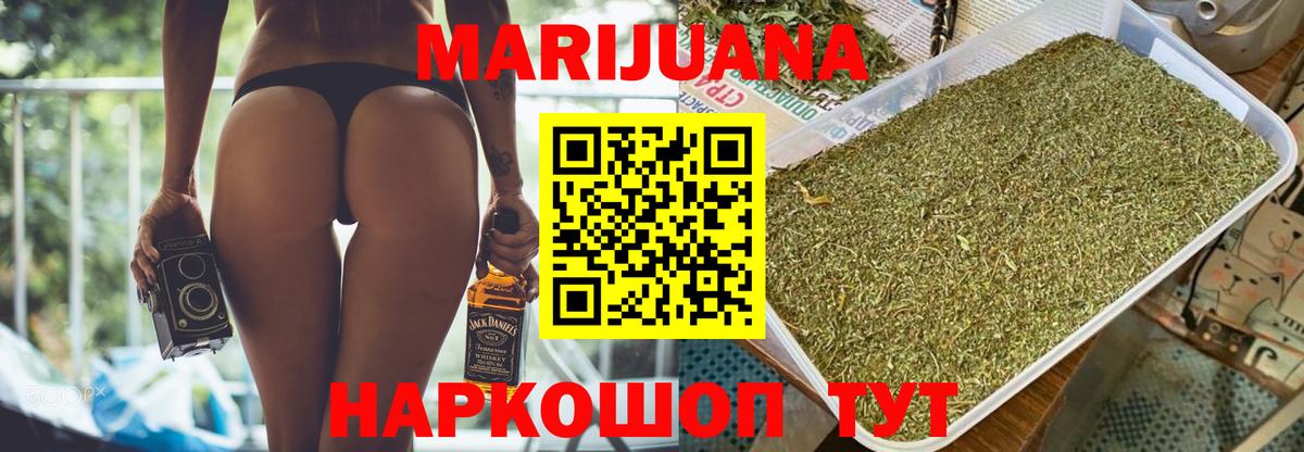 Бошки Шишки план Мурино